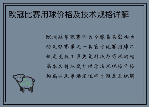 欧冠比赛用球价格及技术规格详解